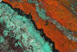 Colorful Sonora Sunset (Chrysocolla Cuprite) Slab - Mexico #280562-1